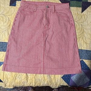 Cider Red A-Line Knee-Length Skirt for Casual Wear